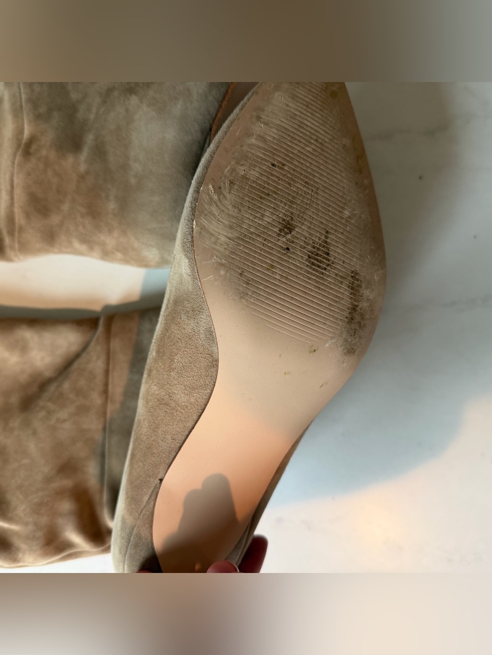 Steve Madden Lavan Suede Ankle Boots in Oatmeal - Picture 4 of 7